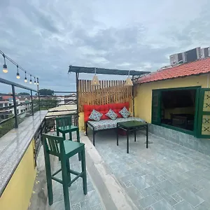 Lynk Hoian Vietnam